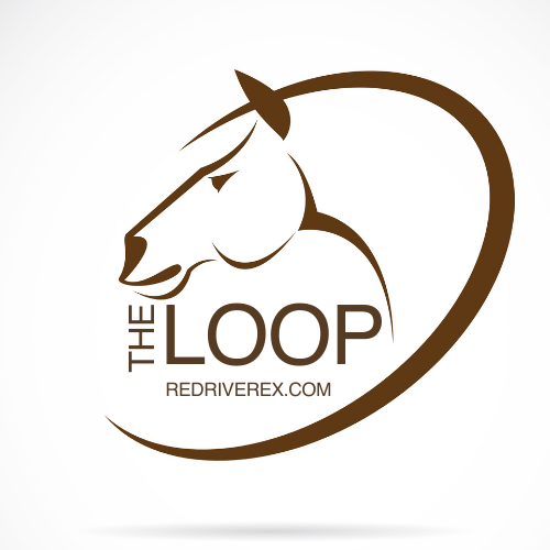 The Loop The Loop