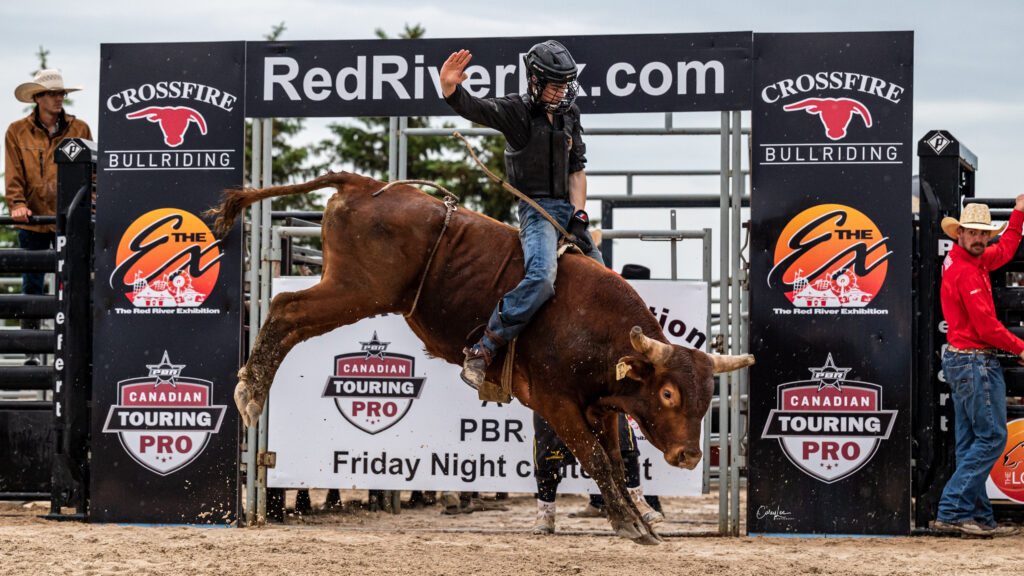 A brave cowboy takes on a mean bull at a PBR bull riding event