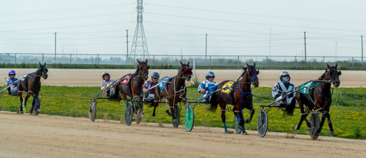 Harness Racing Makes Triumphant Return to Winnipeg